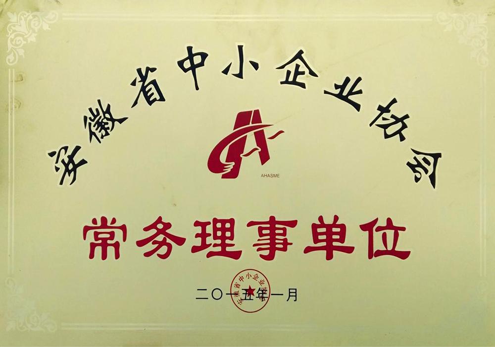 安徽省中小企業(yè)協(xié)會(huì)常務(wù)理事單位